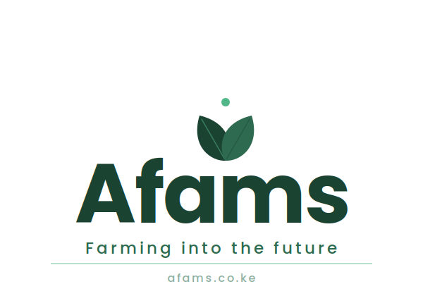 Afams Logo